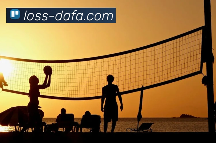 大发娱乐平台生态图